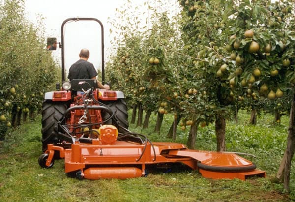Mechanical weed control is Perfect