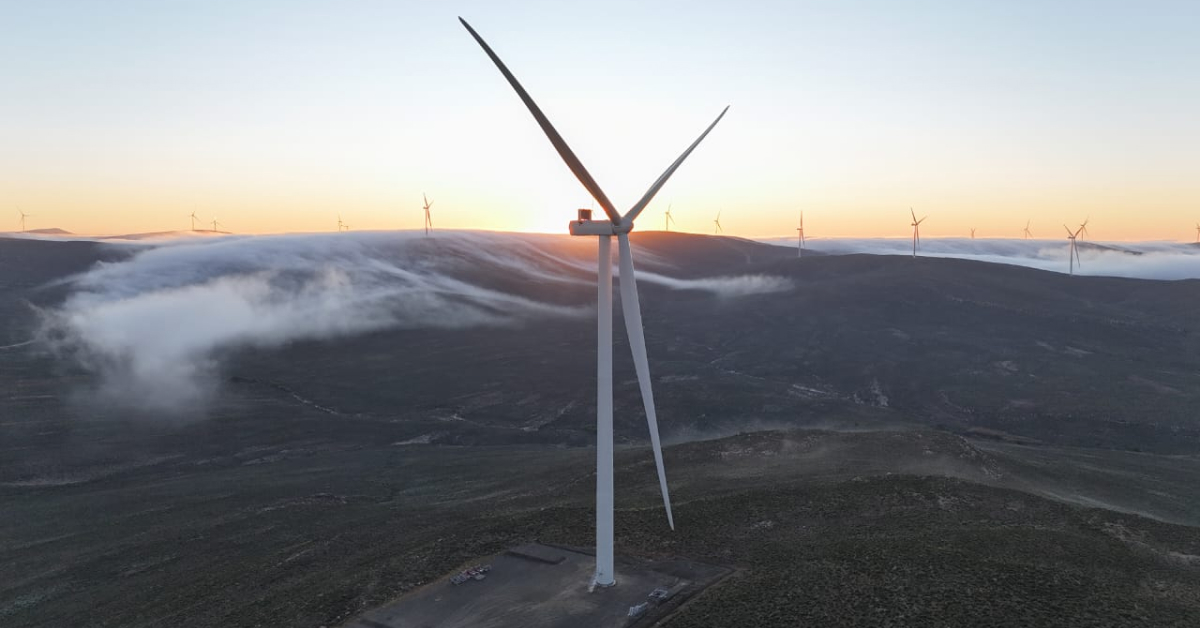 Red Rocket enlists Bioseco in tech-powered initiative to protect birdlife on its wind farms