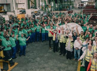 Automotive manufacturers in South Africa decarbonisation