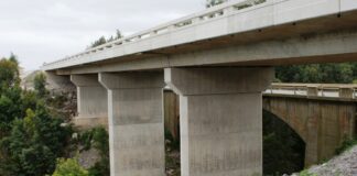 Collective strength_ how the BCCEI is building South Africa’s future