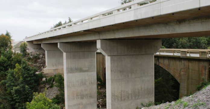 Collective strength_ how the BCCEI is building South Africa’s future