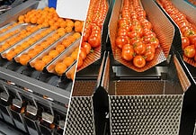 Agricultural automation helps South African producers reduce product losses, improve efficiency and increase profitability