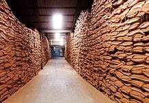 As Rooibos demand grows, safeguarding its origin matters more than ever